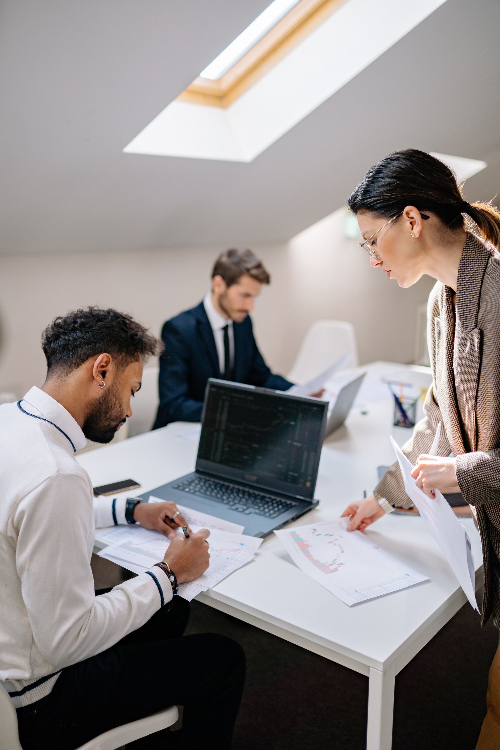 Consultor profesional